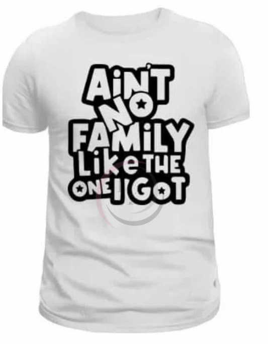 Ain’t No Family Like The One I Got Shirt